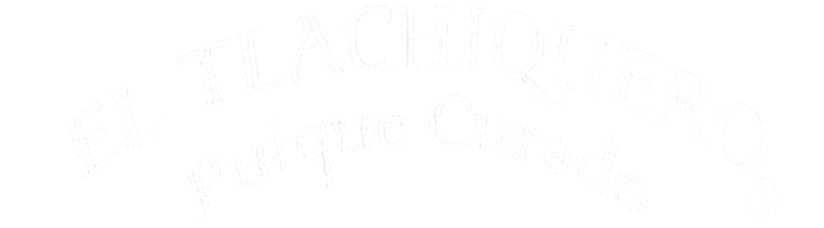Logo Letras